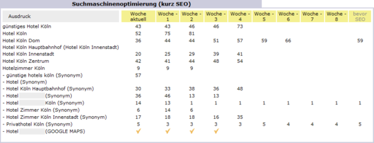 Hier sehen Sie unsere einmalige Statistik einer Suchmaschinenoptimierung: Die Auflistung aller optimierten Suchbegriffe und deren w&ouml;chentliche Position bei der aktuellsten Suchmaschine.
